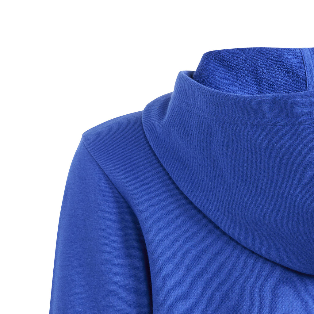 Essentials Two-Colored Big Logo hoodie