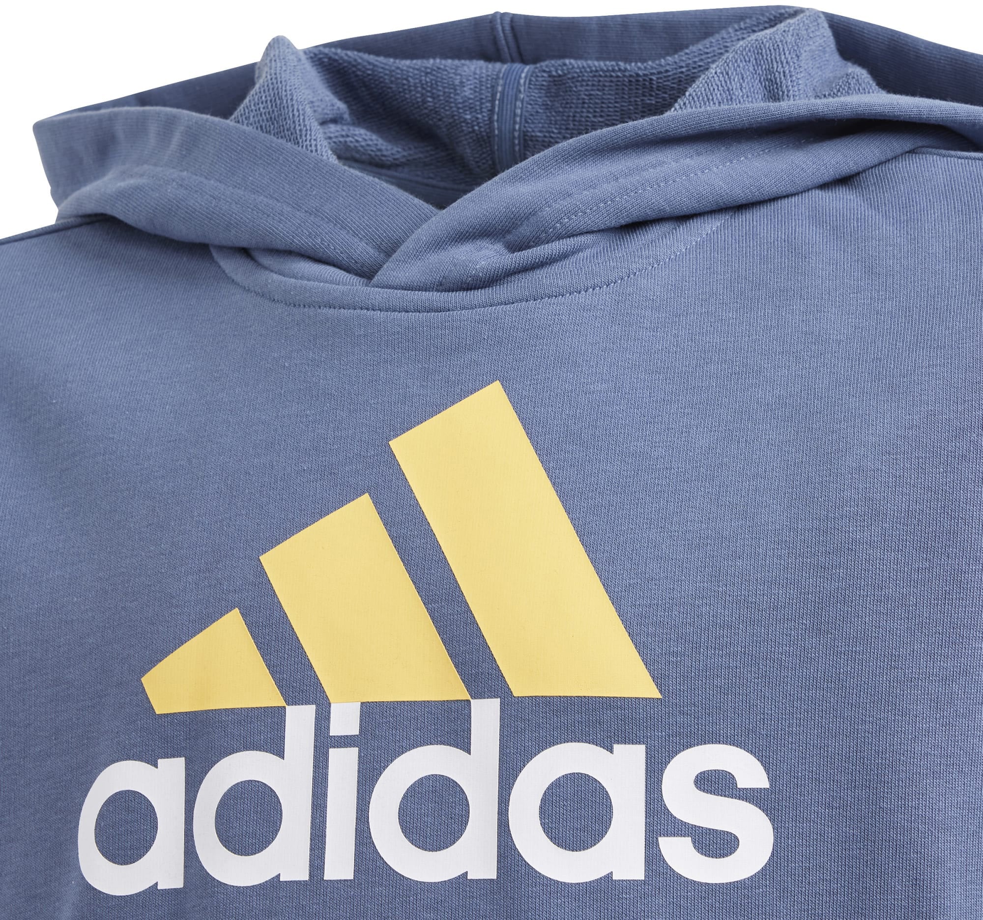 Essentials Two-Colored Big Logo hoodie