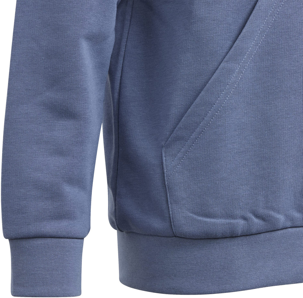 Essentials Two-Colored Big Logo hoodie