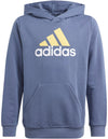 Essentials Two-Colored Big Logo hoodie