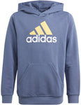 Essentials Two-Colored Big Logo hoodie