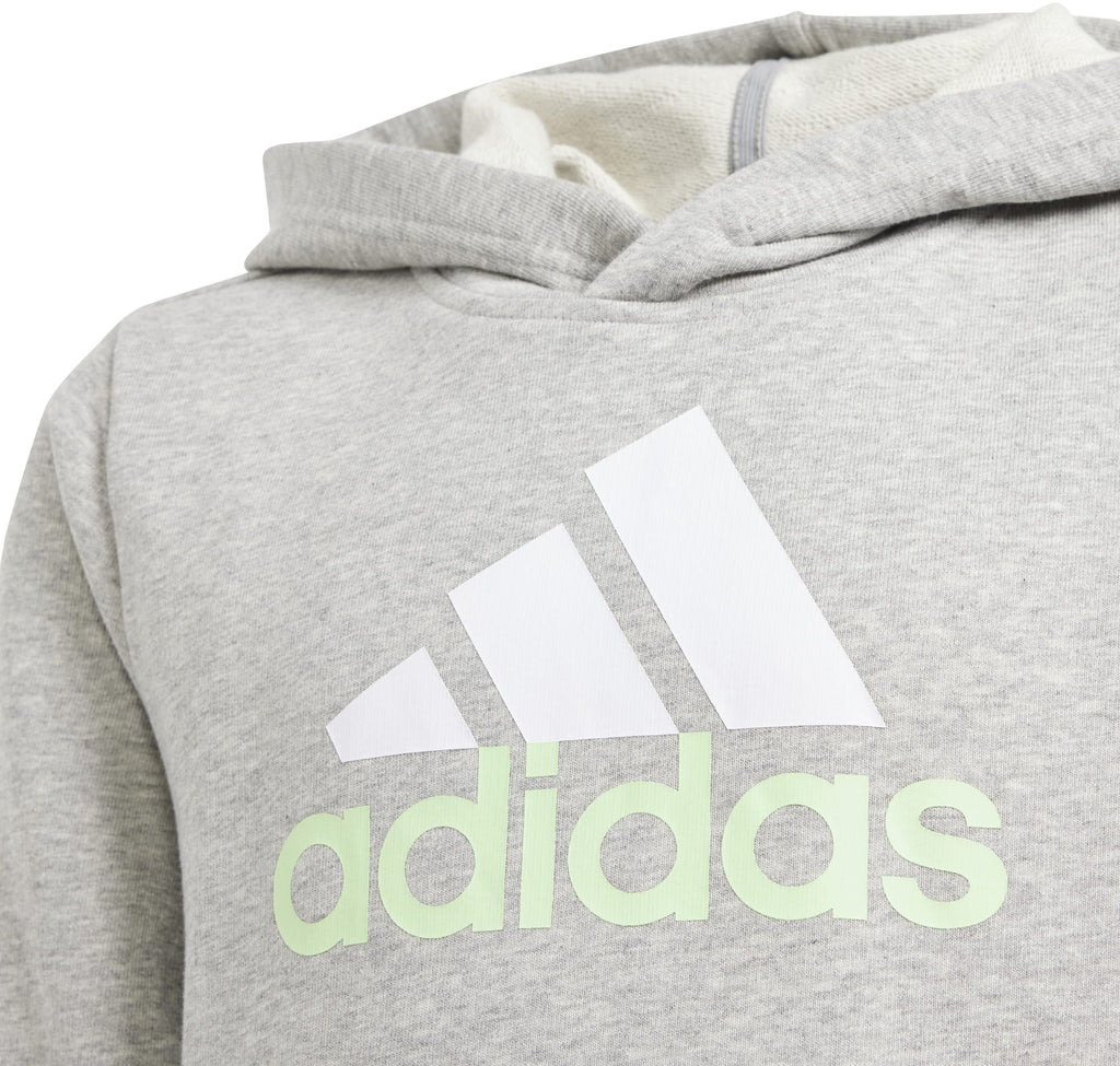 Essentials Two-Colored Big Logo hoodie