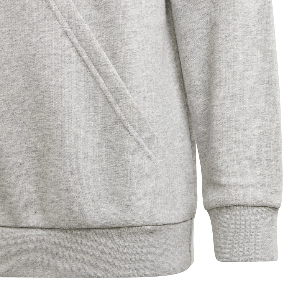 Essentials Two-Colored Big Logo hoodie
