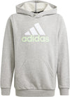 Essentials Two-Colored Big Logo hoodie