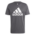 Essentials Big Jersey Big Logo shirt