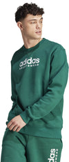 All SZN Fleece Graphic sweater