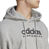All SZN Fleece Graphic hoodie