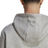 All SZN Fleece Graphic hoodie
