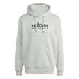 All SZN Fleece Graphic hoodie
