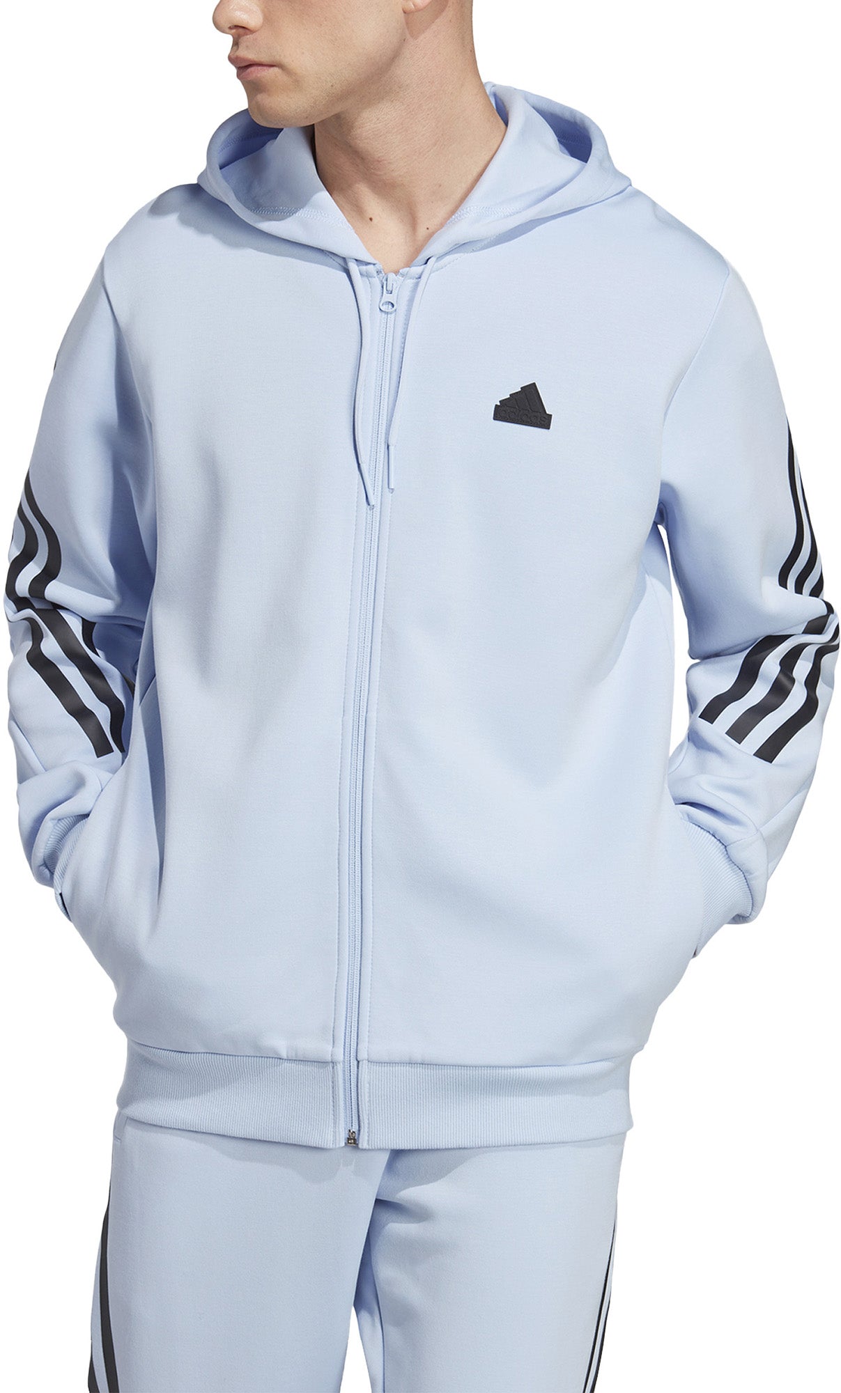 Future Icons 3-Stripes ritshoodie