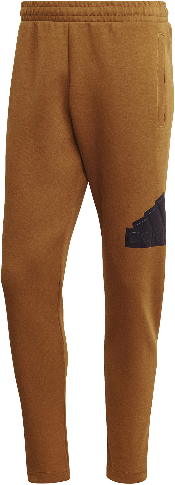 Future Icons Badge of Sport broek