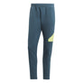 Future Icons Badge of Sport broek