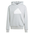 Future Icons Badge of Sport hoodie