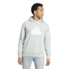 Future Icons Badge of Sport hoodie