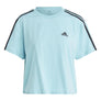 3s Crew top