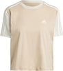 3s Crew top