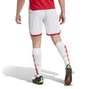 Arsenal 23/24 thuisshort
