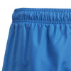 Logo CLX zwemshort