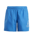 Logo CLX zwemshort