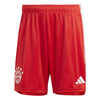FC Bayern München 23/24 trainingsshort
