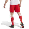 FC Bayern München 23/24 trainingsshort