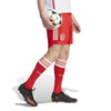 FC Bayern München 23/24 trainingsshort