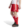 FC Bayern München 23/24 trainingsshort