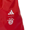 FC Bayern München gymtas