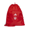 FC Bayern München gymtas