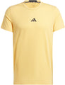 Designed for Training Workout t-shirt