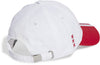 Ajax Amsterdam pet
