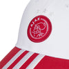 Ajax Amsterdam pet