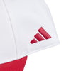 Ajax Amsterdam pet