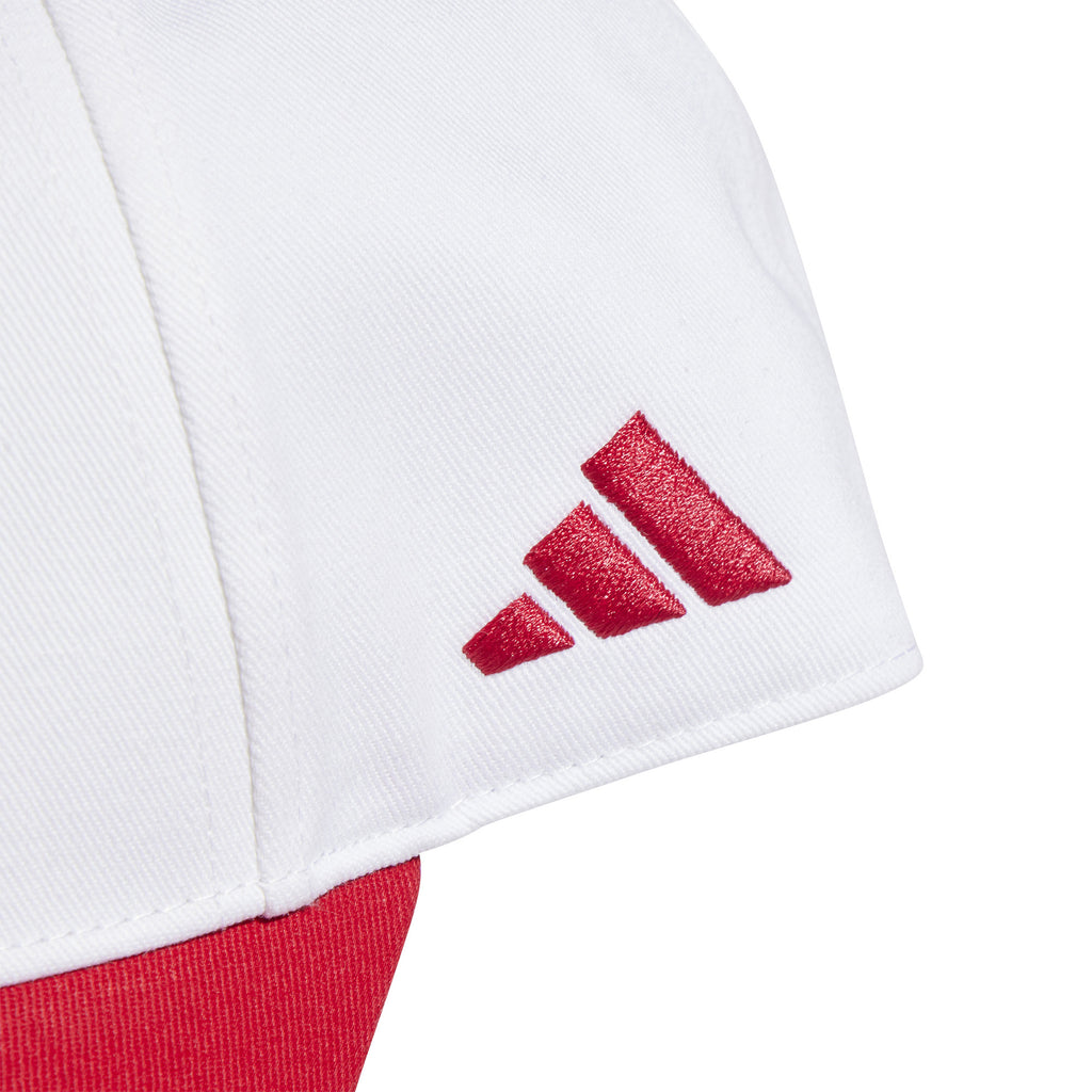 Ajax Amsterdam pet