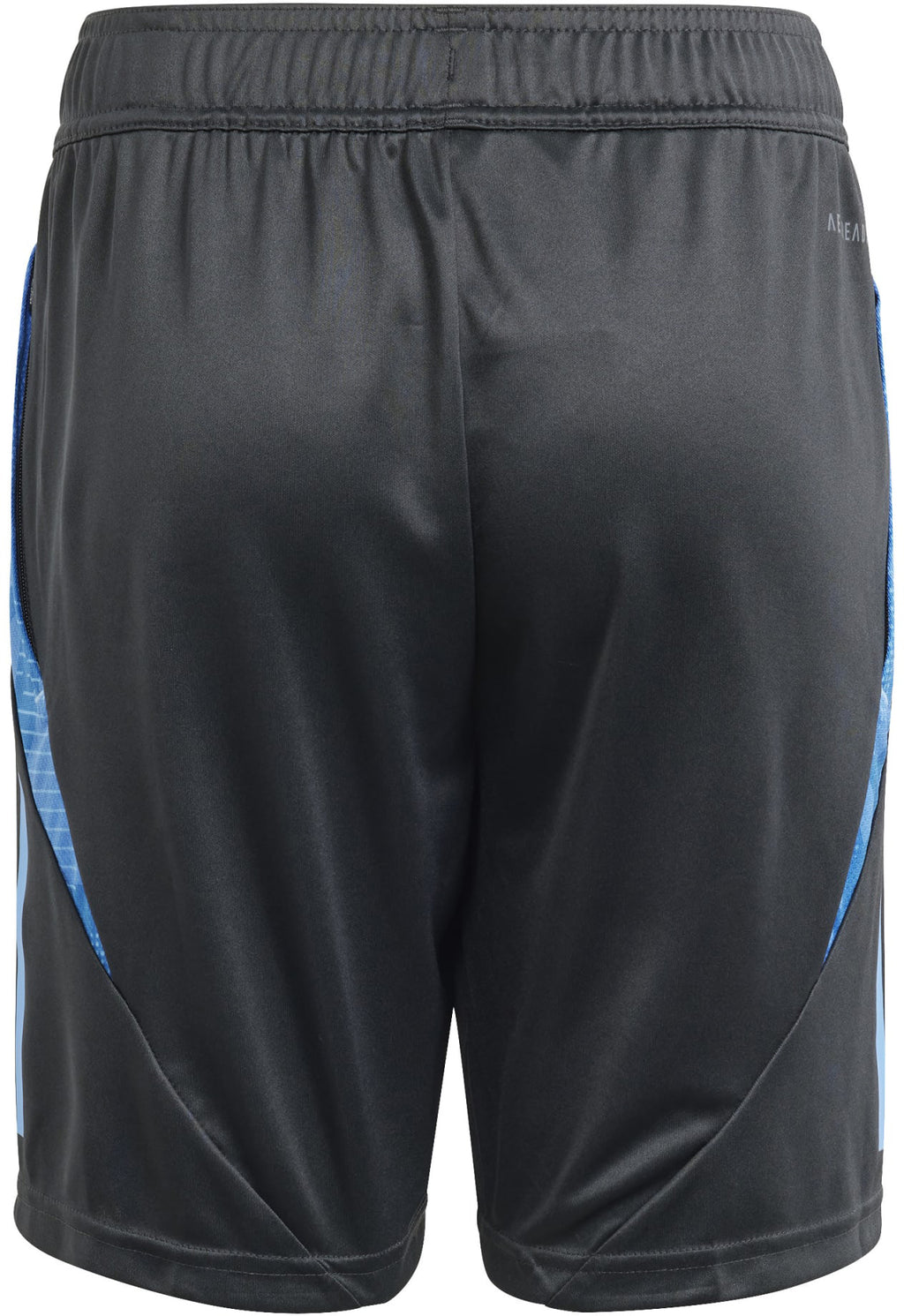 Argentinië Tiro 24 Competition Training short