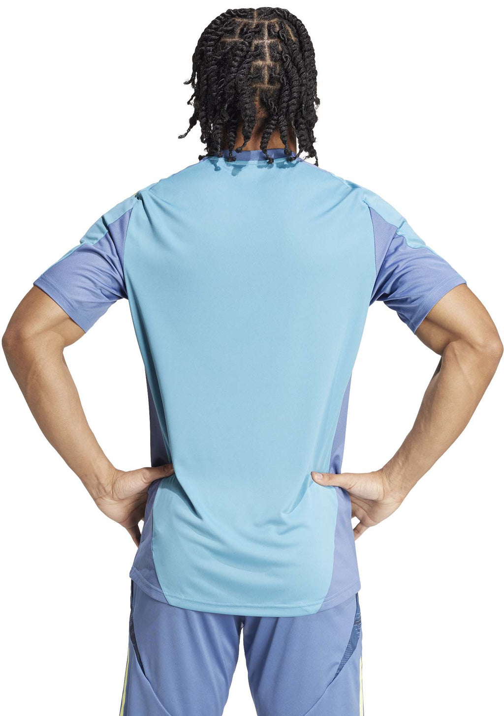 Ajax Amsterdam Tiro 24 Competition voetbalshirt