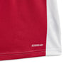 Ajax Amsterdam baby thuistenue 24/25