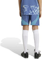 Ajax Amsterdam 24/25 kids uitshort