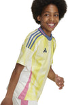 Juventus 24/25 kids uitshirt