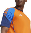 Juventus voetbalshirt 24/25
