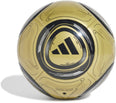 Messi Club voetbal