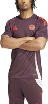 FC Bayern München Tiro 24 Training shirt