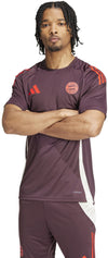 FC Bayern München Tiro 24 Training shirt