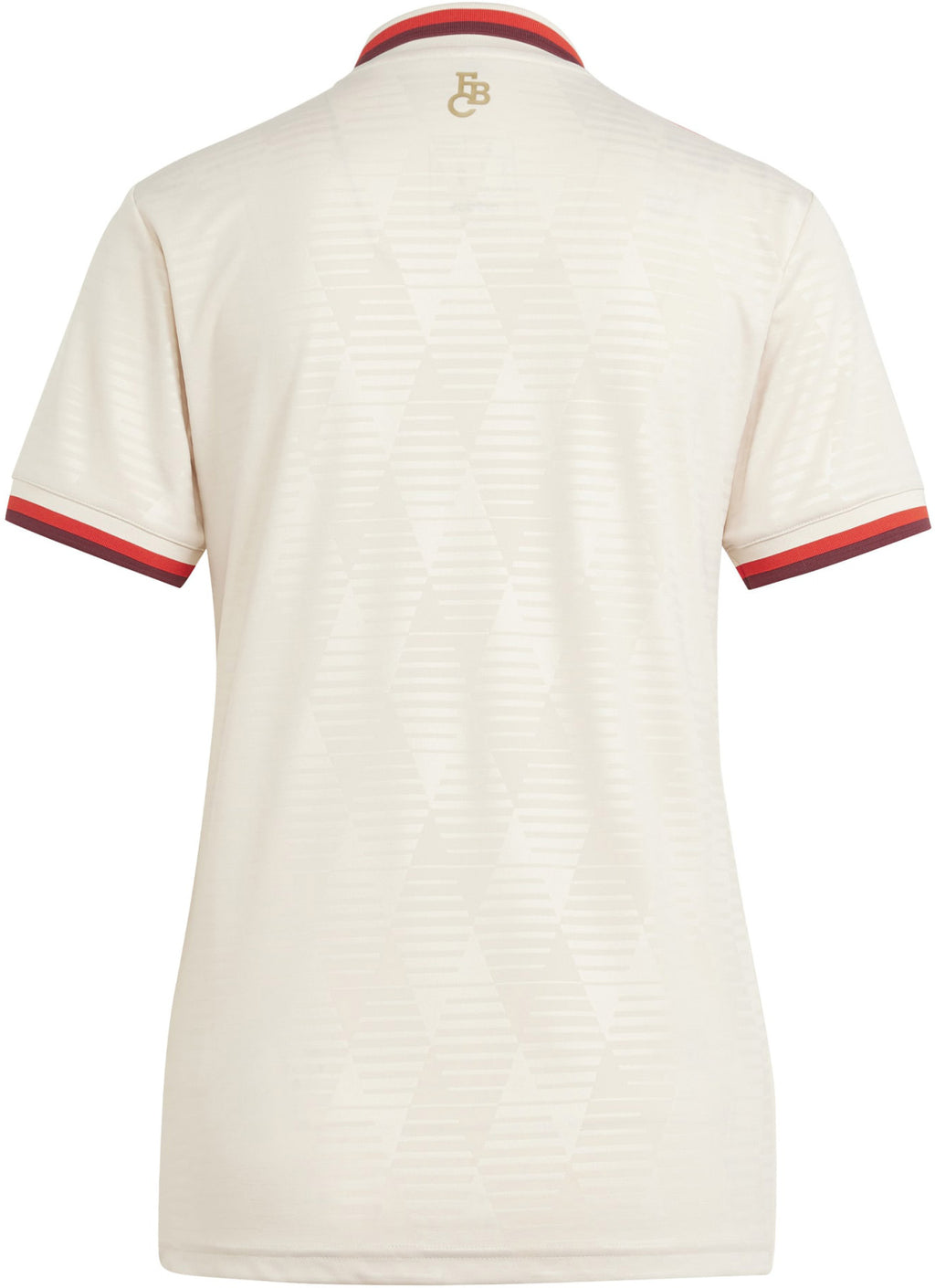 FC Bayern München 3rd shirt 24/25