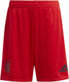 FC Bayern München kids thuisshort 24/25
