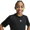Train Essentials Logo kids shirt