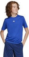 Train Essentials Logo kids shirt
