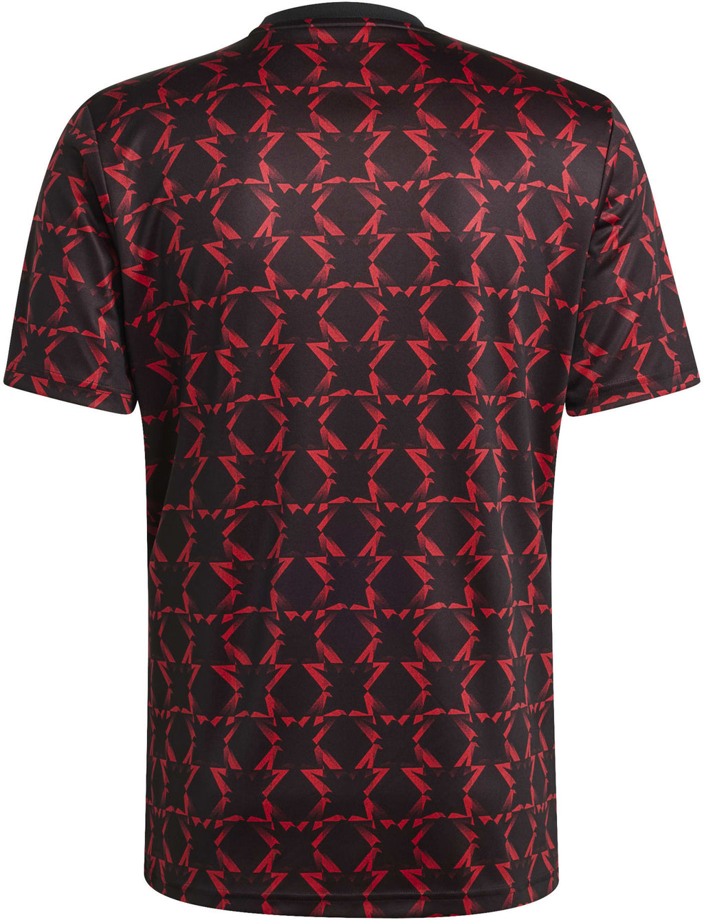 Manchester United Pre-Match shirt 24/25