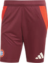 FC Bayern München Tiro 24 trainingsshort