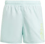 Sportswear Essentials Logo CLX kids zwemshort